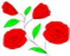 1236641505_1.jpg