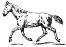 1243066122_1.jpg