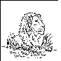 1253430567_1.jpg