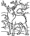 1254784208_1.jpg