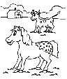 1255951182_1.jpg