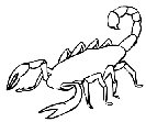 1259112677_1.jpg